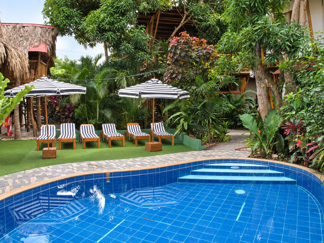 Piscina de Kanta Sana entre palmeras